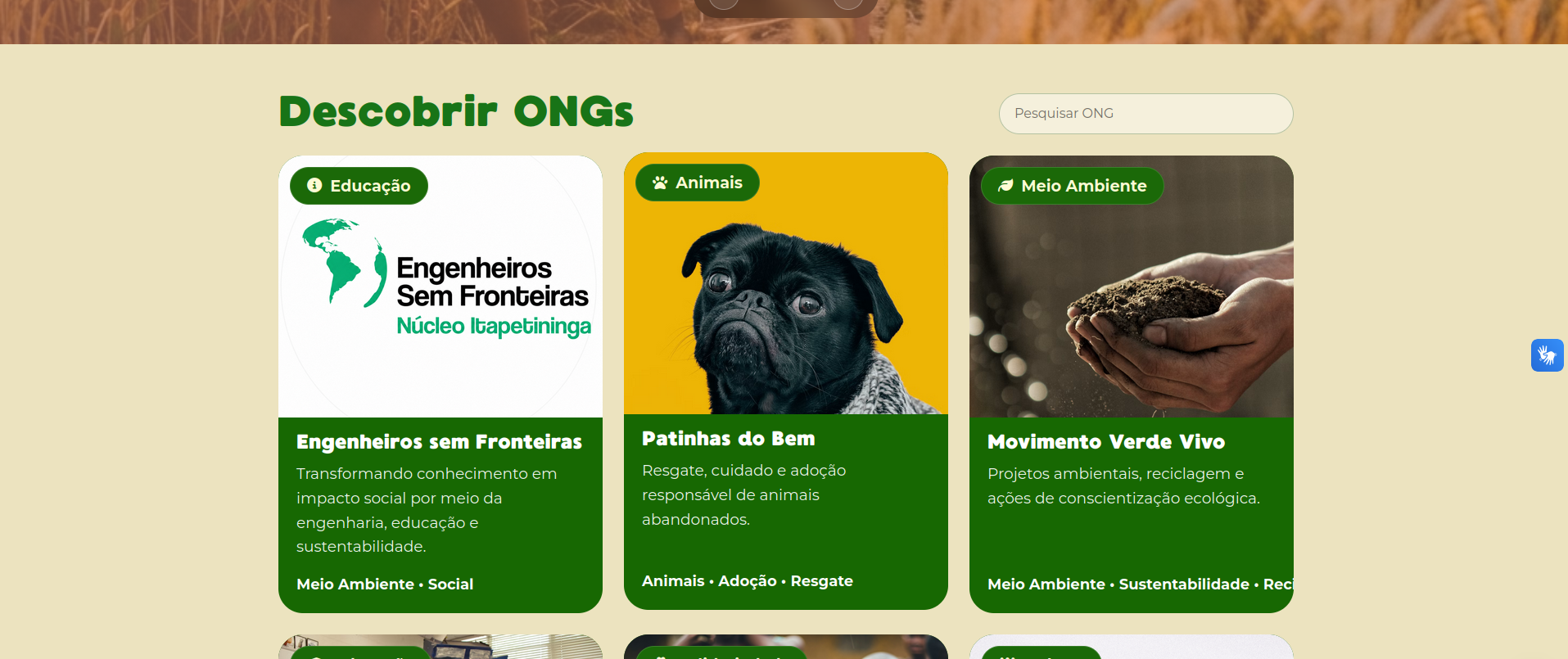 Interface digital organizada com informacoes de uma ONG exibidas de forma clara